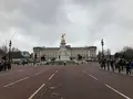 バッキンガム宮殿（Buckingham Palace）の写真_420322