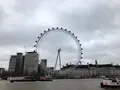 ロンドン・アイの写真_420335