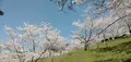 いきいきふれあいランドの写真_420385