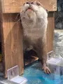 大分マリーンパレス水族館 うみたまごの写真_420878