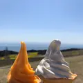 あわじ花さじきの写真_421057