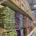 日本一のだがし売り場の写真_421249