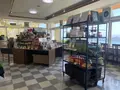 牛窓オリーブ園の写真_421254