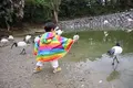 ネオパークオキナワの写真_421272