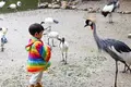 ネオパークオキナワの写真_421273