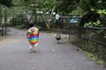 ネオパークオキナワの写真_421274