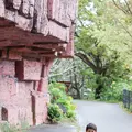 ネオパークオキナワの写真_421276