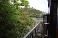 ネオパークオキナワの写真_421284