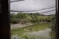 ネオパークオキナワの写真_421285