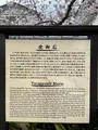 延台寺の写真_421506