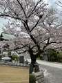 延台寺の写真_421515