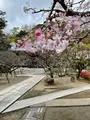 地福寺の写真_421531