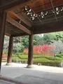 知恩院の写真_421566