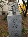 永観堂（禅林寺）の写真_421586