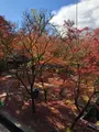 永観堂（禅林寺）の写真_421589
