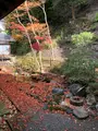 永観堂（禅林寺）の写真_421590