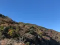 嵐山の写真_421601