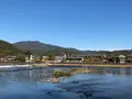 嵐山の写真_421602