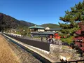 嵐山の写真_421603
