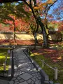 天龍寺の写真_421611
