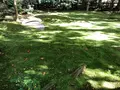 野宮神社の写真_421616