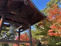 清水寺の写真_421628