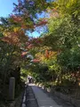 清水寺の写真_421629