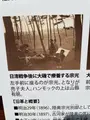 旧陸奥宗光邸「聴漁荘」の写真_421748