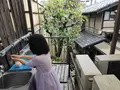 七條甘春堂 本店の写真_422180