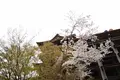 清水寺の写真_422264