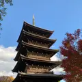 東寺（教王護国寺）の写真_422304
