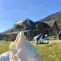 トムミルクファームの写真_422359