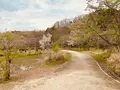 21世紀の森と広場 木もれ陽の森の写真_422418