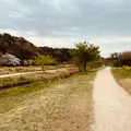 21世紀の森と広場 木もれ陽の森の写真_422419