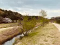 21世紀の森と広場 木もれ陽の森の写真_422420