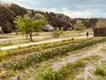 21世紀の森と広場 木もれ陽の森の写真_422422