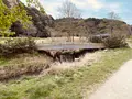 21世紀の森と広場 木もれ陽の森の写真_422424