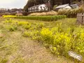 21世紀の森と広場 木もれ陽の森の写真_422425