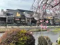 鴨川の写真_422436