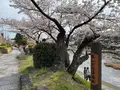 鴨川の写真_422441