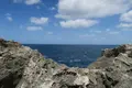 残波岬の写真_422704
