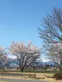 南部総合公園の写真_422742