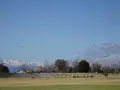 南部総合公園の写真_422743