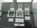 ヒスイ海岸の写真_422750