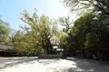 大山祇神社の写真_423247