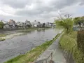 鴨川の写真_423353