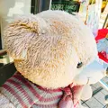 ベーカリーハウス アオキの写真_423605