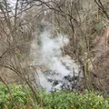 西の河原公園の写真_423713