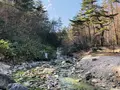 西の河原公園の写真_423717