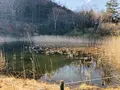鬼の相撲場碑の写真_423725